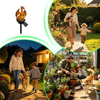 Solar Dragon Garden Light